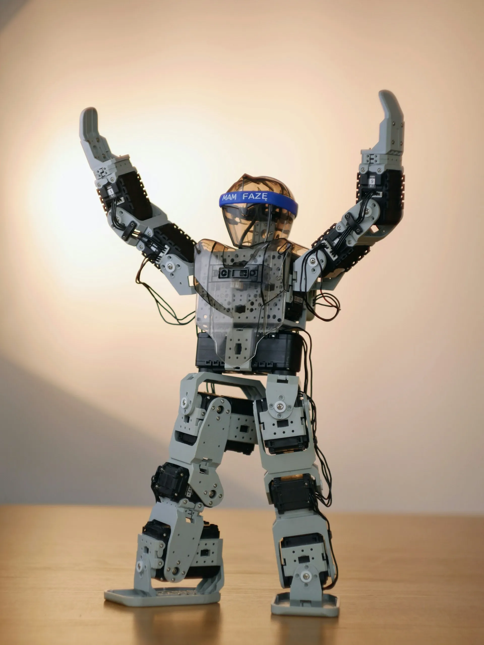 AI Agent Development